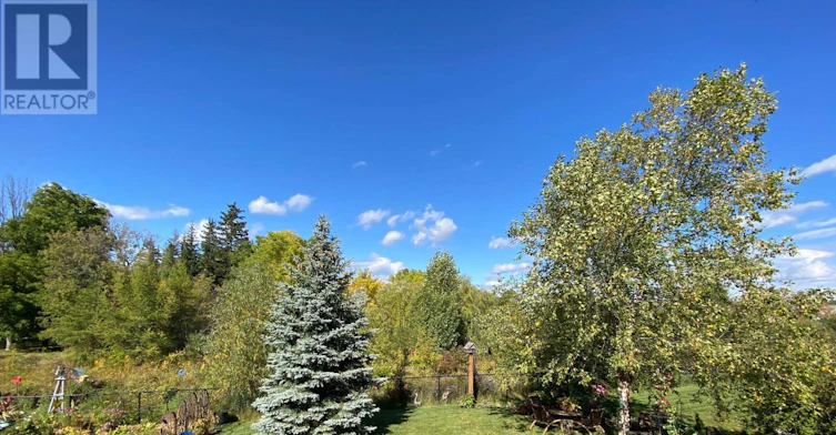 77 Findlay Drive, Collingwood, ON, L9Y 0G6 - 13