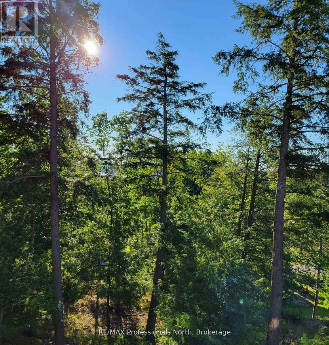 202-3 Tree Tops Lane, Huntsville, ON, P1H 1A9 - 13