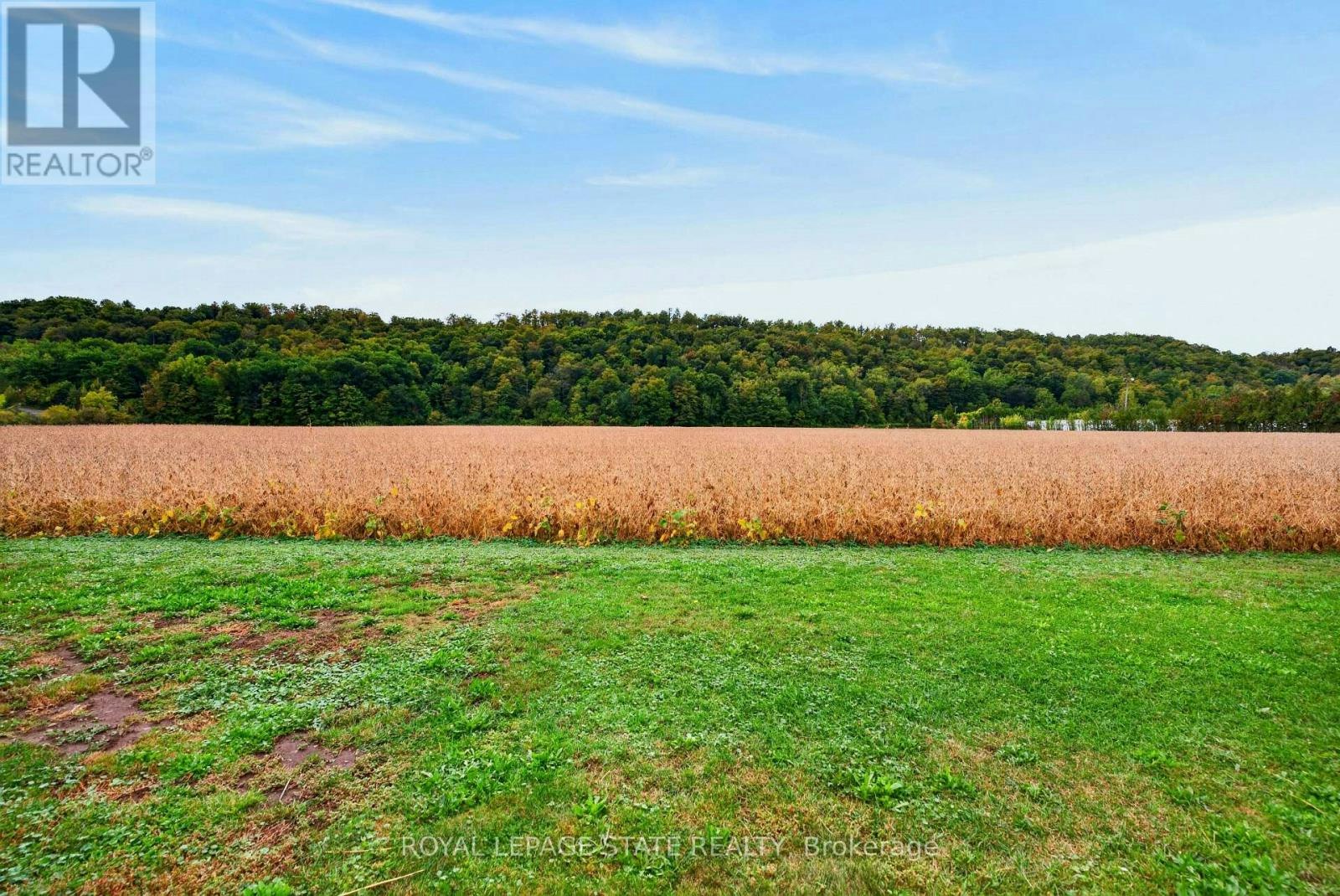 984 8 Highway Highway, Hamilton, ON, L8E 5H9 - 43
