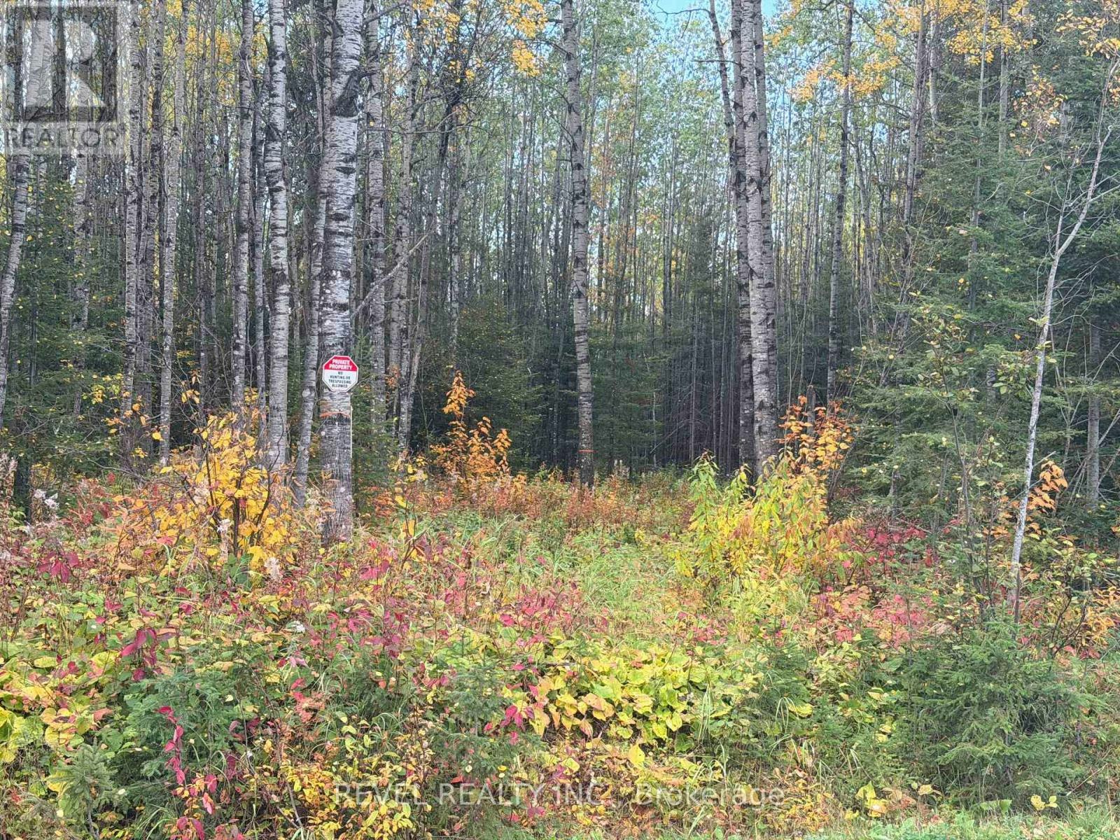 CON-1 Pt Lot 3 Mccart N, Iroquois Falls, ON, P0K 1E0