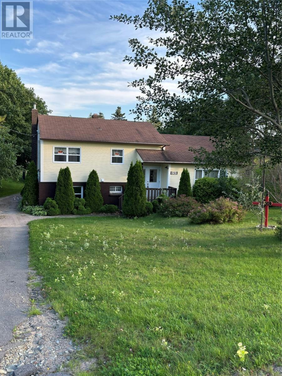 250 Discovery Trail, Trinity Bay North, NL, A0C 1J0