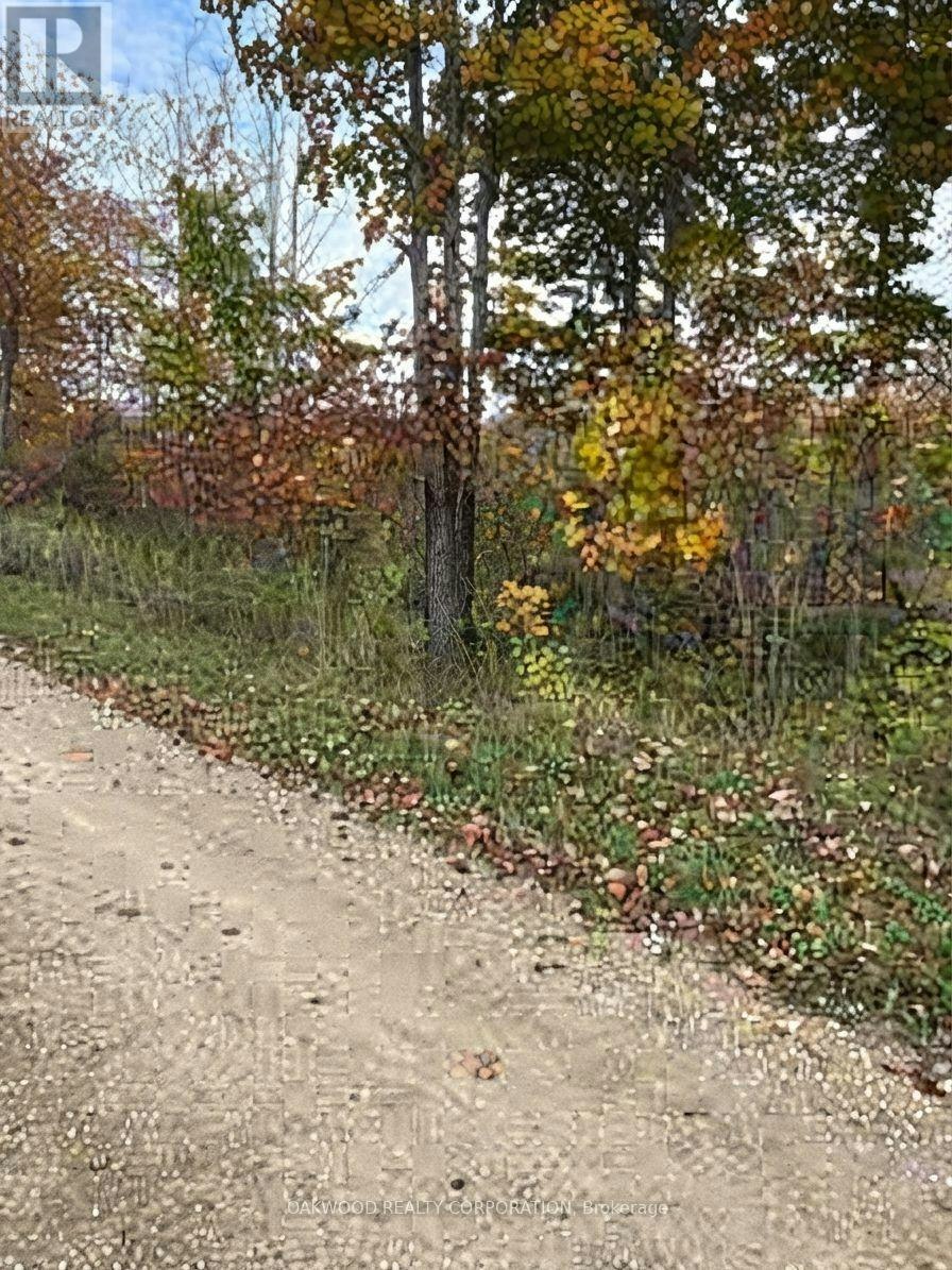 0 Side 60 Road, Kawartha Lakes, ON, N0C 1H0