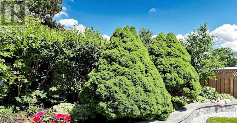 200 Castle Rock Drive, Richmond Hill, ON, L4C 5H7 - 47