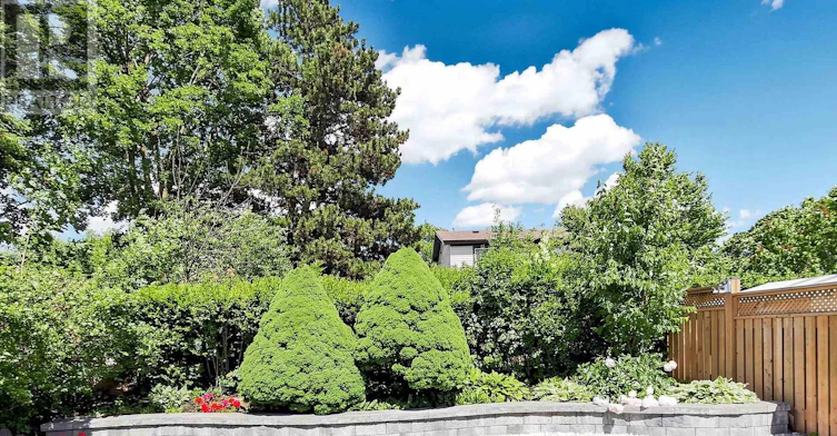 200 Castle Rock Drive, Richmond Hill, ON, L4C 5H7 - 45