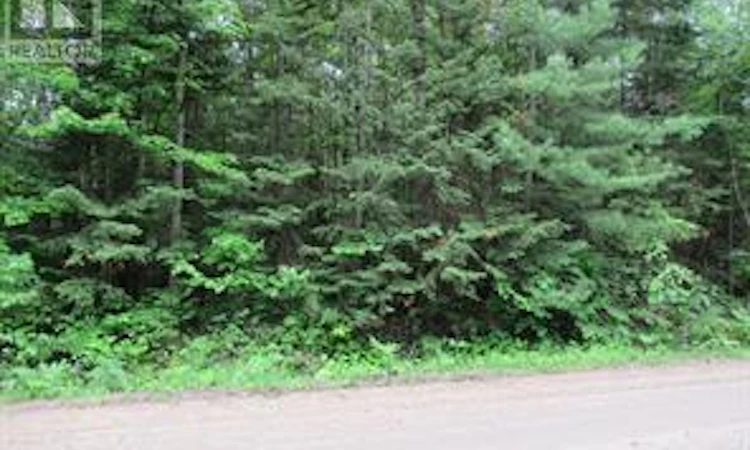 PT LOT-49 Old Moore Lake Road