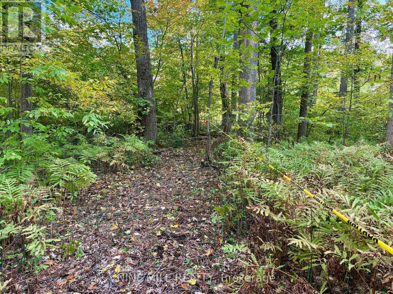 3159 Switch Road, Ramara, ON, L0K 2B0