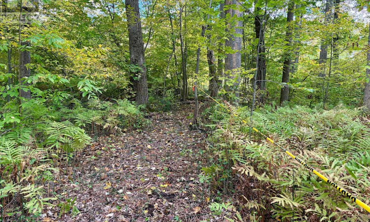 3159 Switch Road