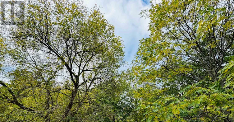 2-423 Wellington Avenue, Windsor, ON, N9A 5J3 - 16
