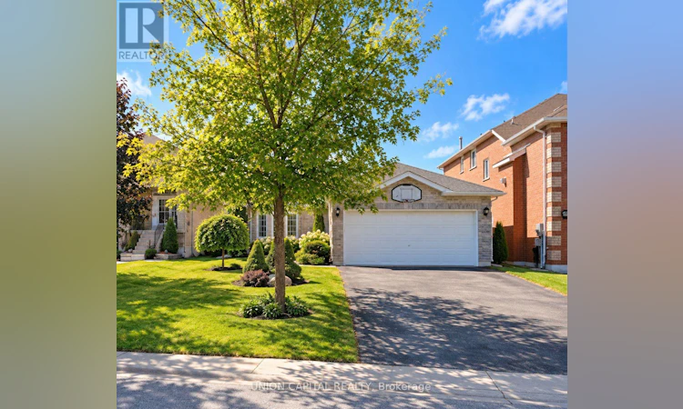 38 Black Willow Drive