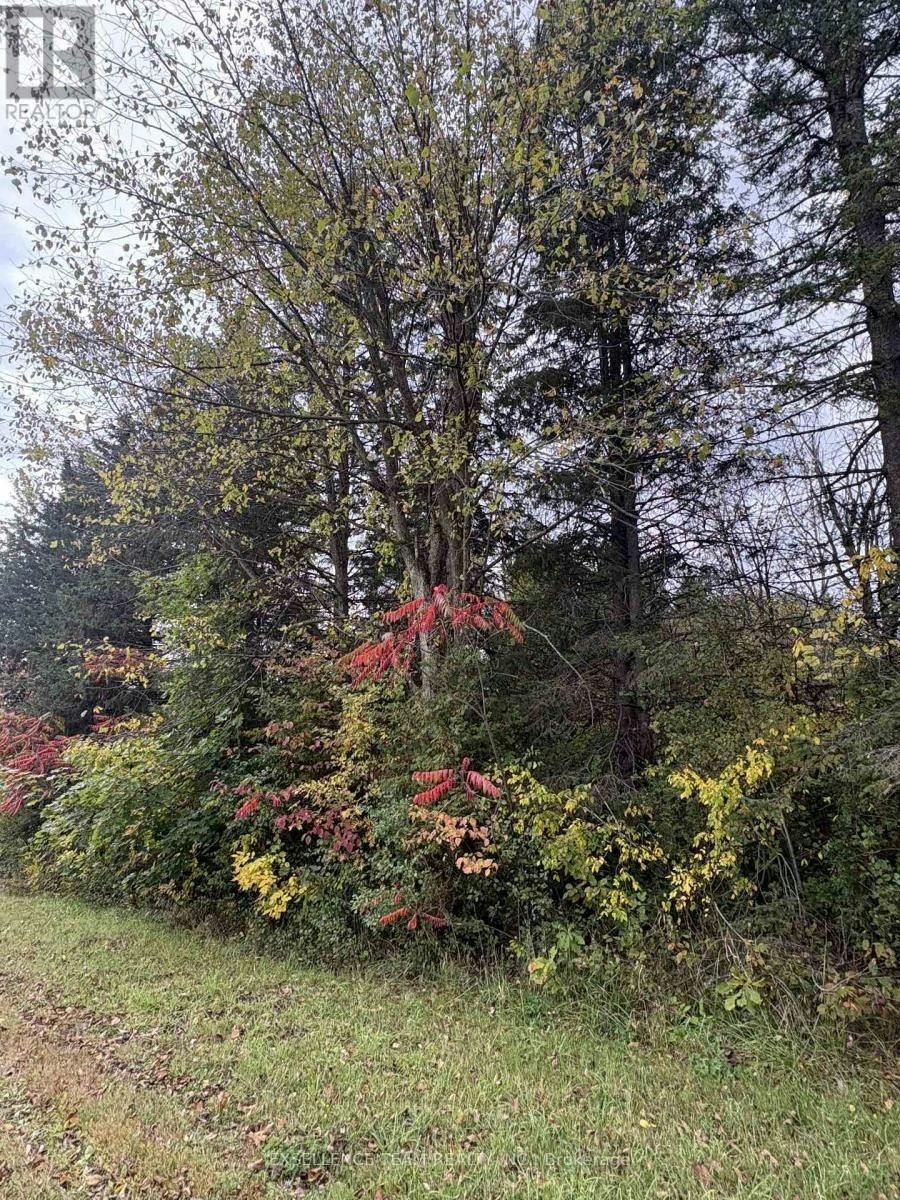 N/A Glen Roy Rd Road, South Glengarry, ON, K0C 1L0