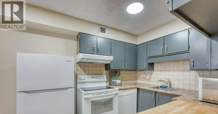 405-380 Pelissier Street, Windsor, ON, N9A 6V7 - 14