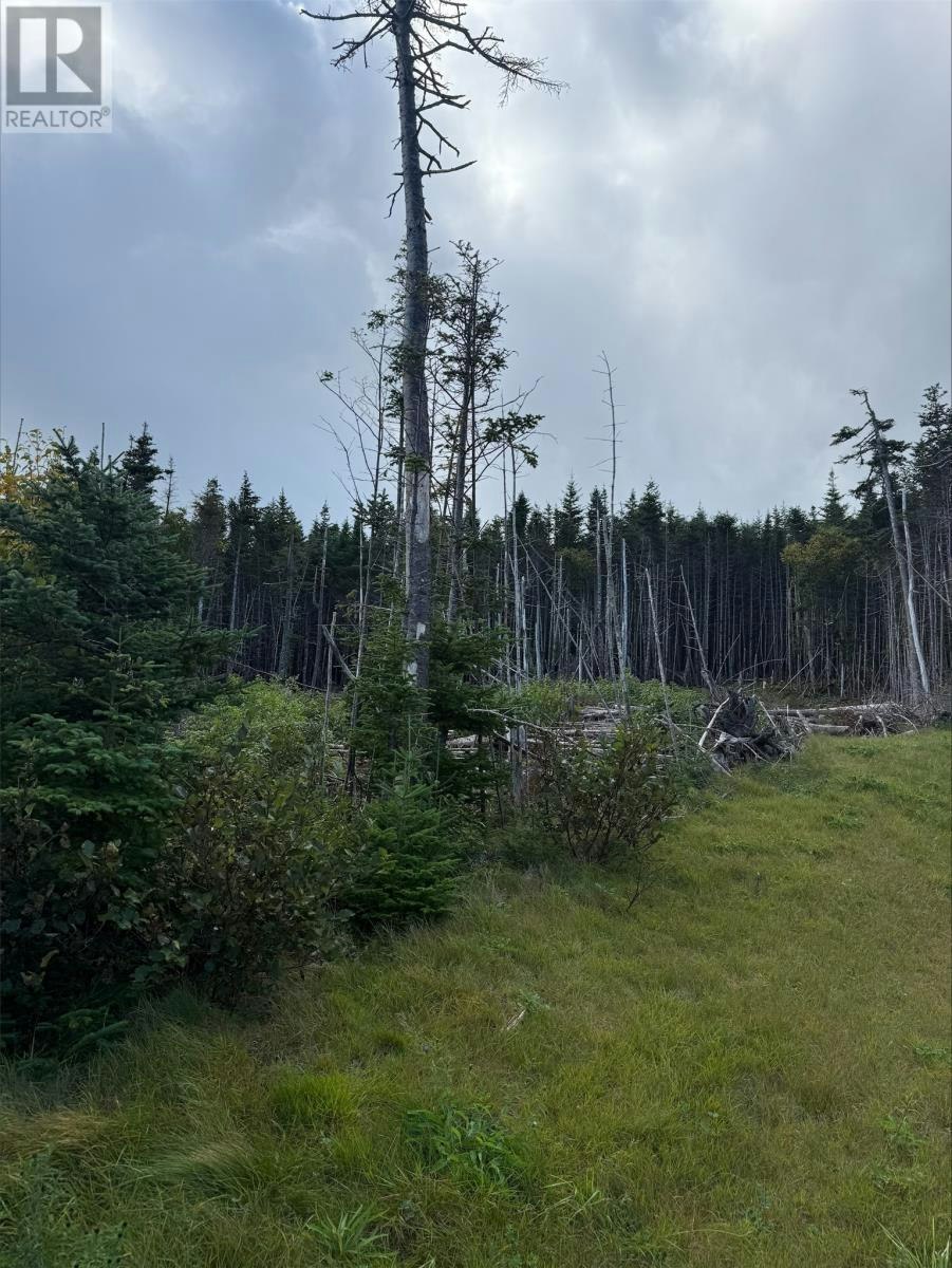 Lot-13 Southern Shore Highway, Ferryland, NL, A0A 2H0
