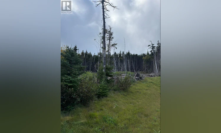 Lot-13 Southern Shore Highway