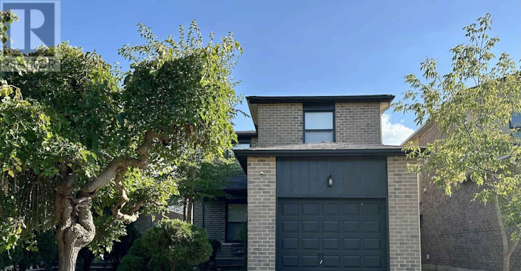 LOWER-29 Constellation Crescent, Richmond Hill, ON, L4C 8J8