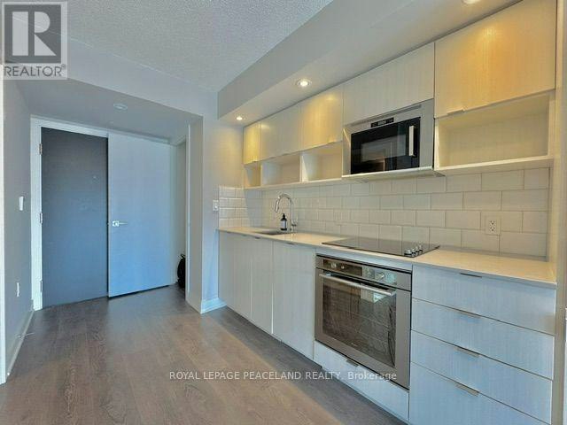 2010-89 Mcgill Street, Toronto, ON, M5B 0B1 - 10