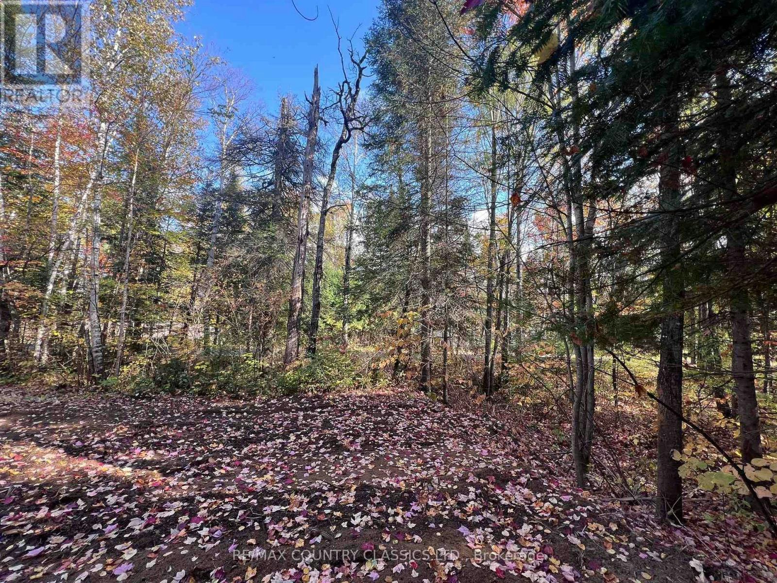 0 High Bush Road, Hastings Highlands, ON, K0L 2W0
