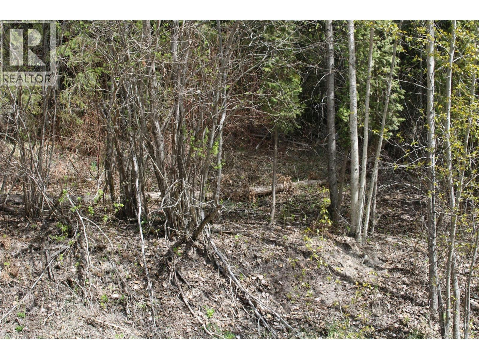 Lot-2 Vickers Trail, Anglemont, BC, V0E 1M8