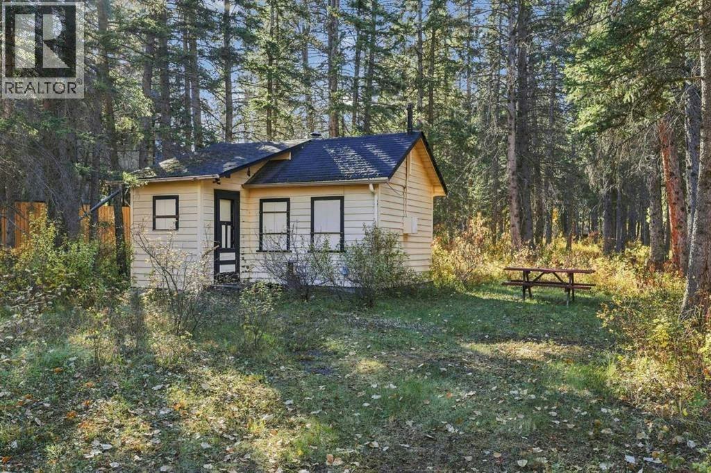 1009 10 Street, Canmore, AB, T1W 2A1