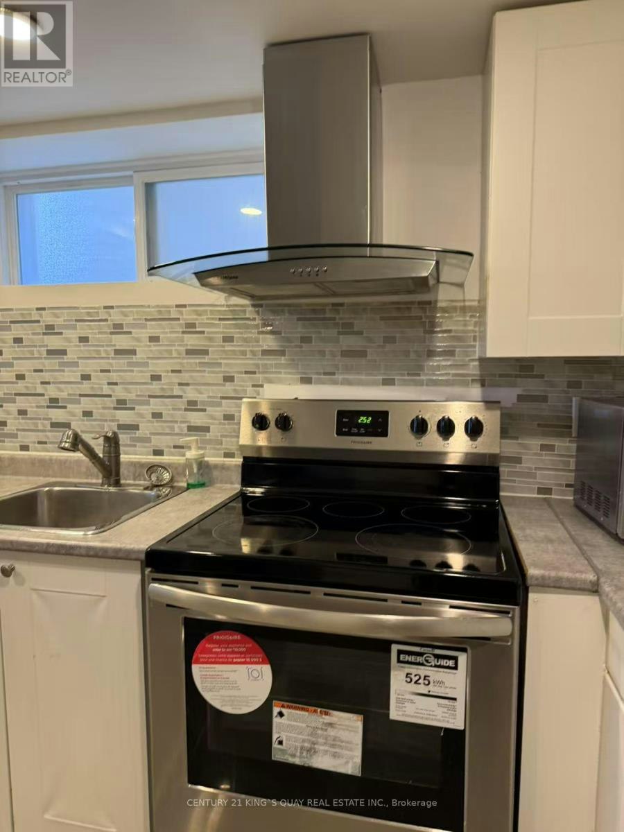 BASEMENT-133 York Mills Road, Toronto, ON, M2L 1K4 - 5