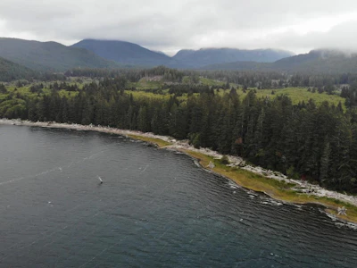 Lot-2 Carmanah Mainline Road - 2