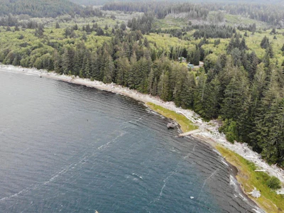 Lot-2 Carmanah Mainline Road - 3
