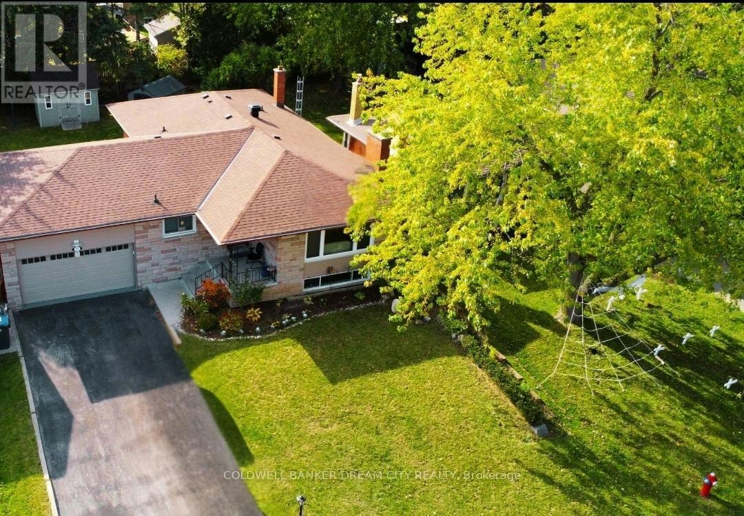 LOWER-231 Elizabeth Street S, Brampton, ON, L6Y 1S2 - 12