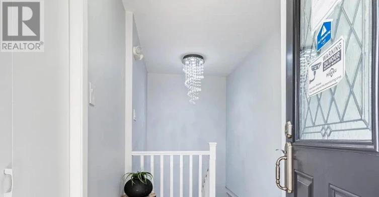 LOWER-231 Elizabeth Street S, Brampton, ON, L6Y 1S2 - 2
