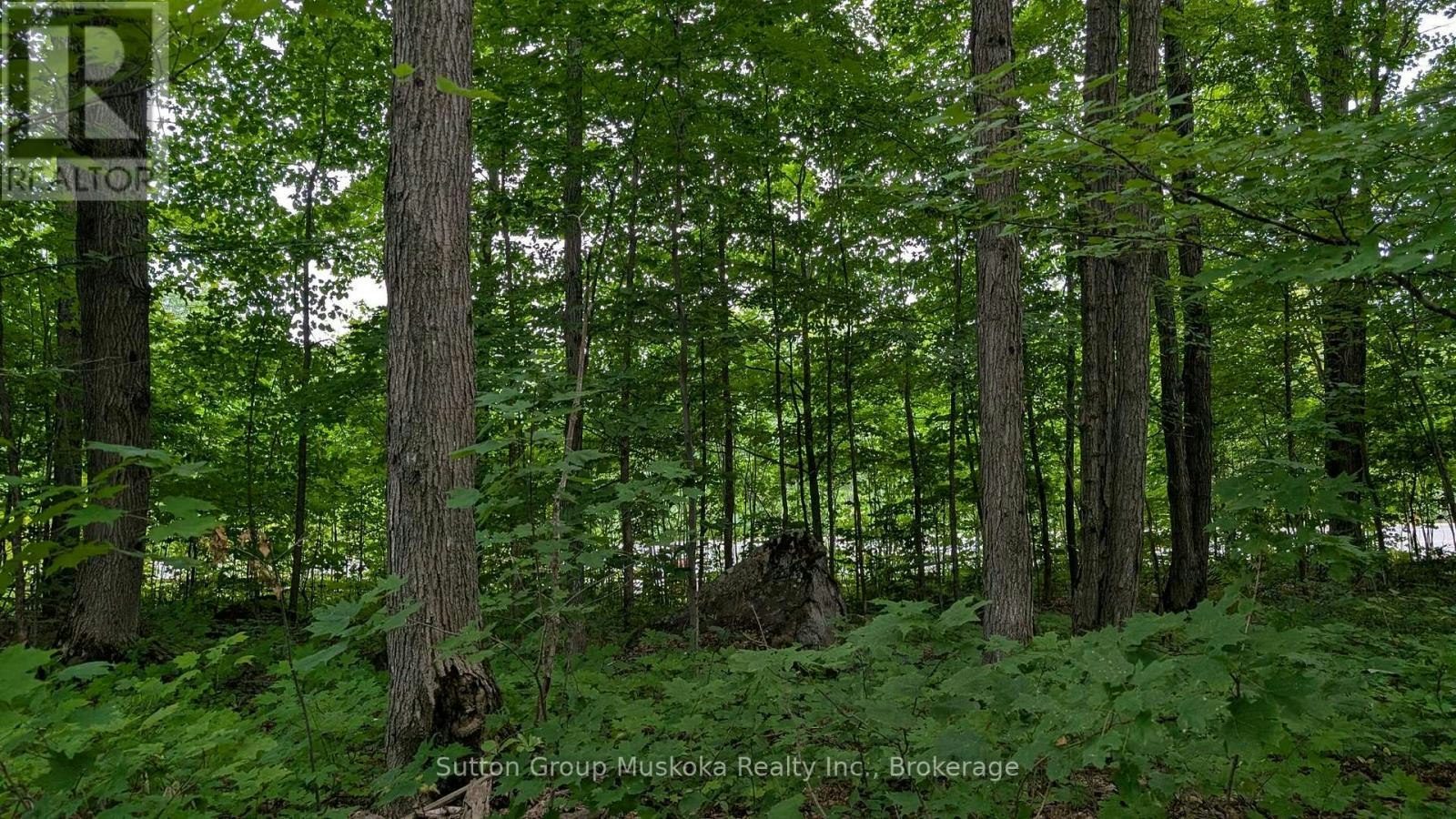 837 Aspdin Road, Huntsville, ON, P1H 0H2