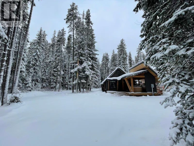 1166 Apex Mountain Road - 2