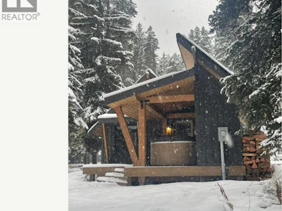 1166 Apex Mountain Road - 3