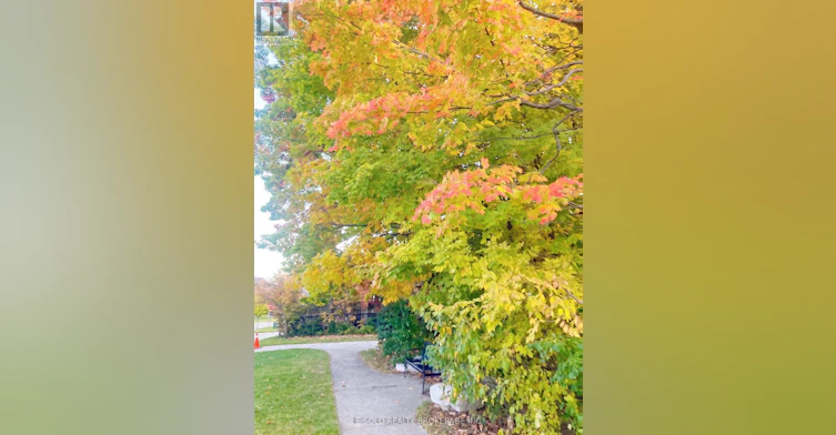 76 Larratt Lane, Richmond Hill, ON, L4C 0E2 - 46