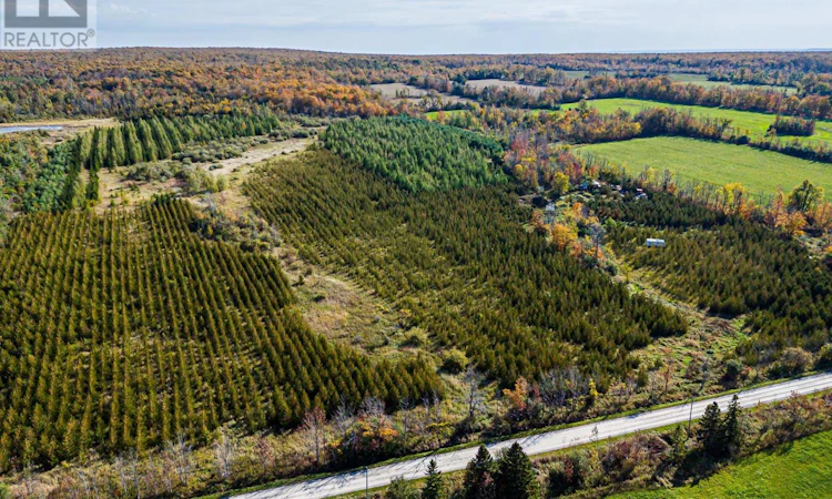 1/2 LOT-25 St Vincent Sydenham Townline NORTH