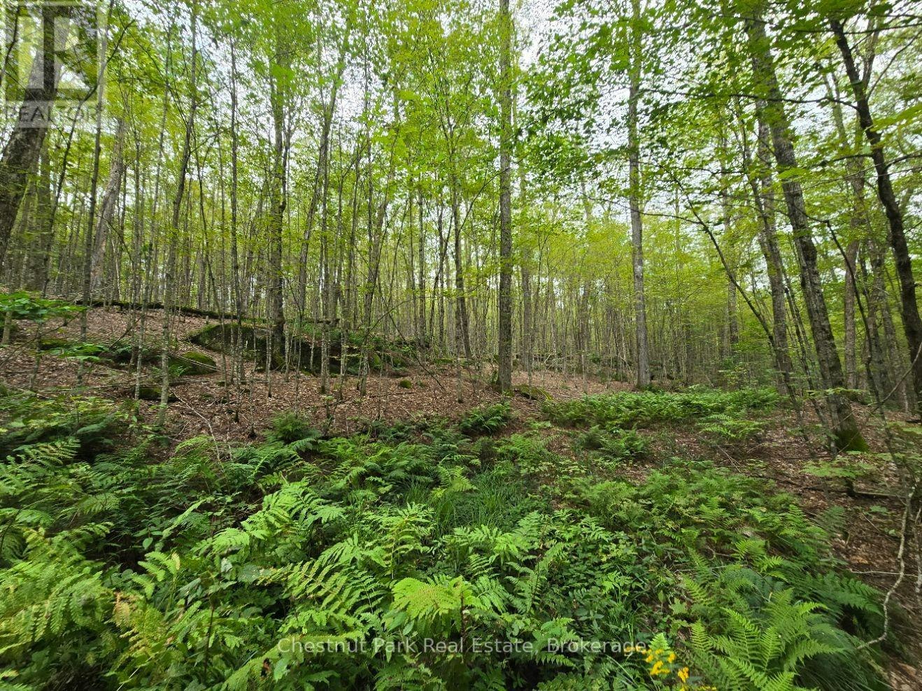 00 Old Track Road, Perry, ON, P0A 1J0