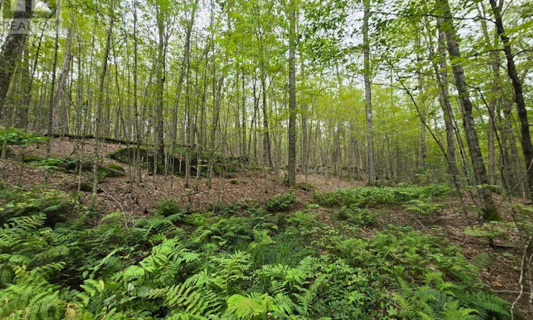 00 Old Track Road