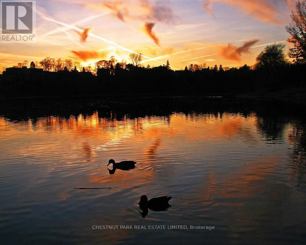 REAR-95 Parkside Drive, Toronto, ON, M6R 2Y8 - 46