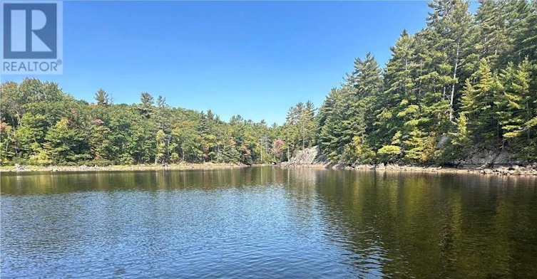 20-1579 Anstruther Lake Road, North Kawartha, ON, K0L 1A0 - 36