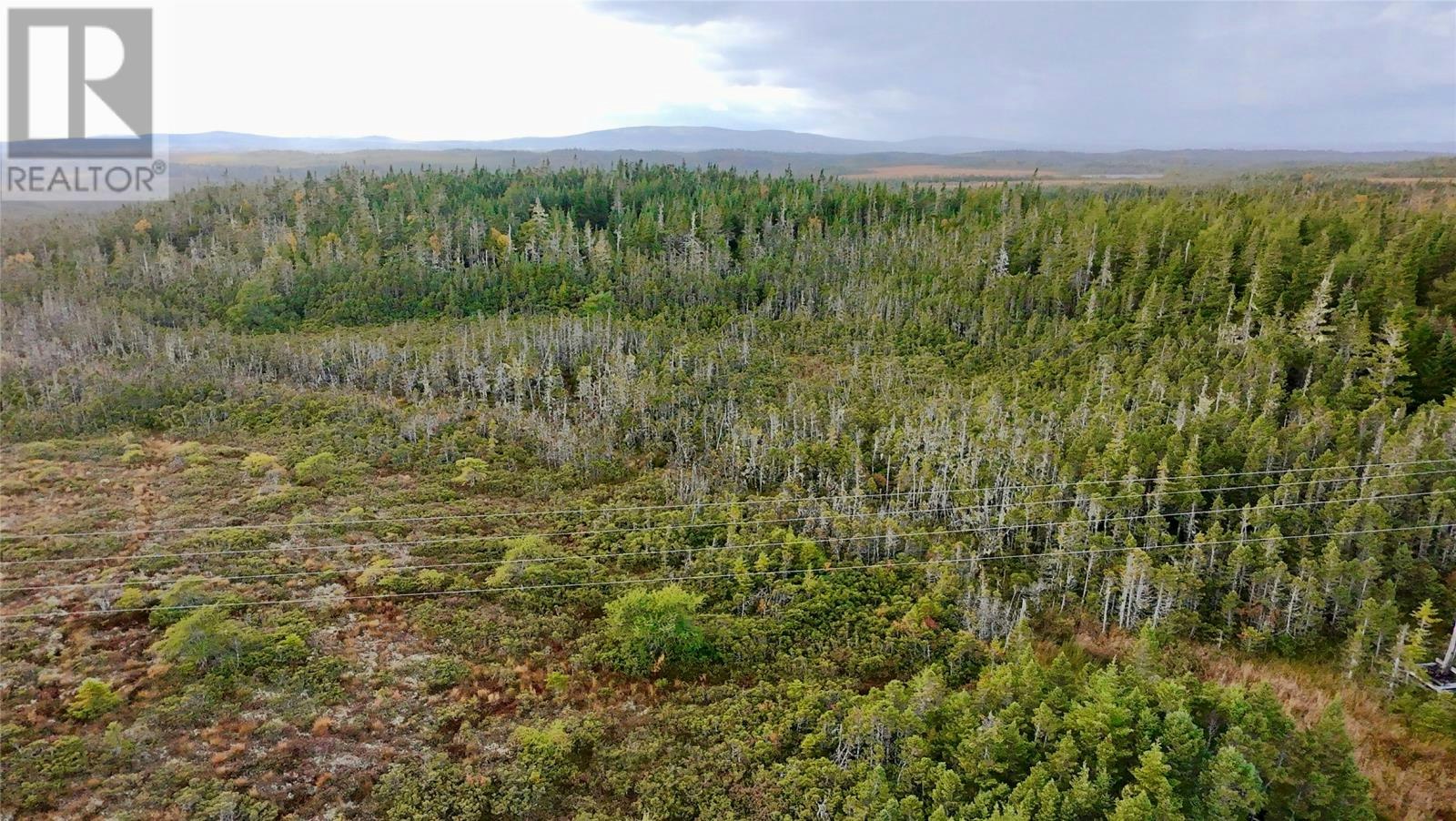 141 Main Road, Chapel Arm, NL, A0B 3K0