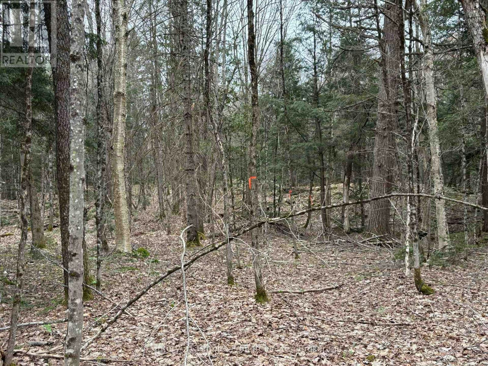 LOT-1 Loch Erne Road, McDougall, ON, P2A 2W7