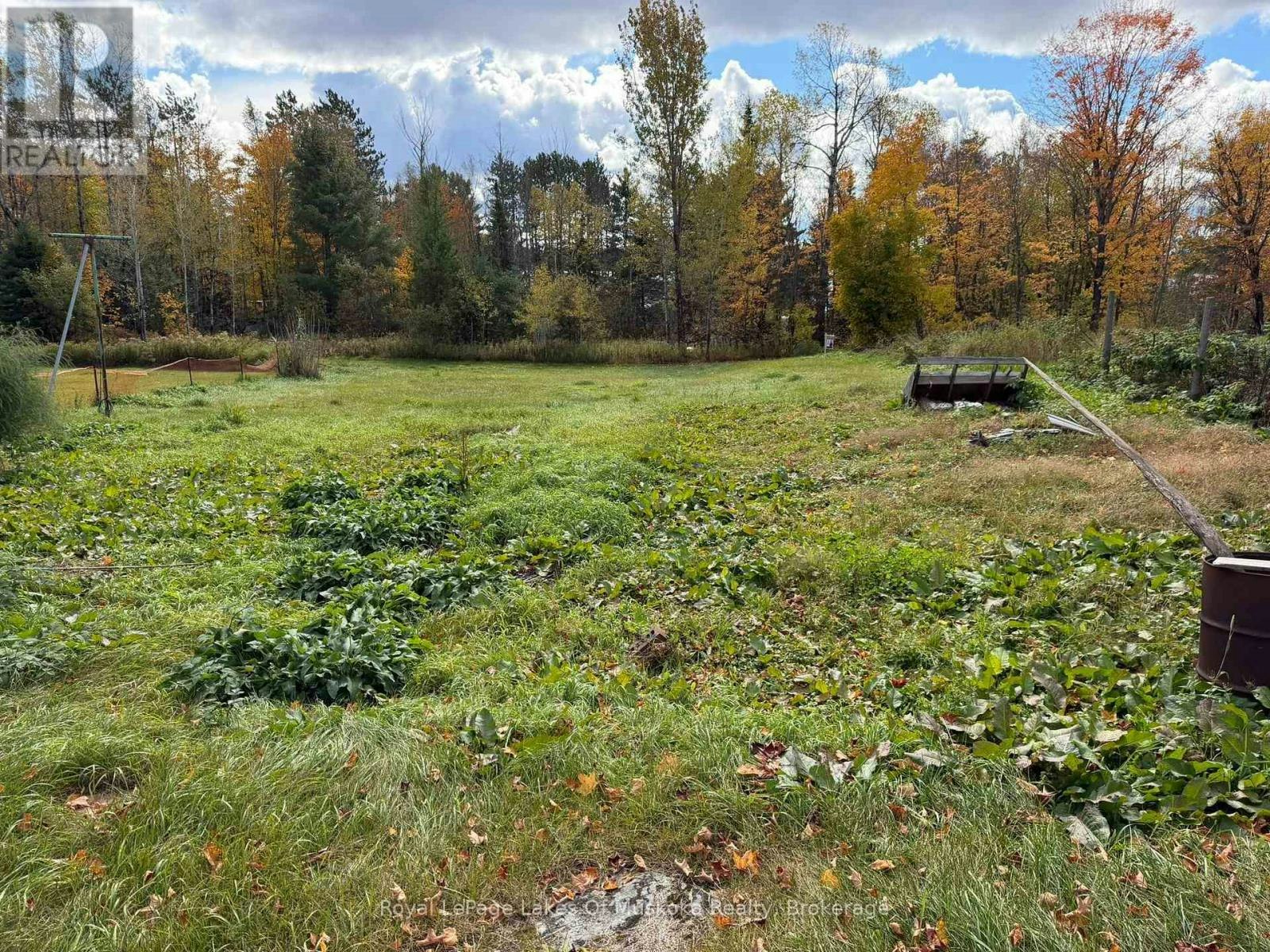 4673 518 Highway, McMurrich/Monteith, ON, P0A 1Y0 - 13