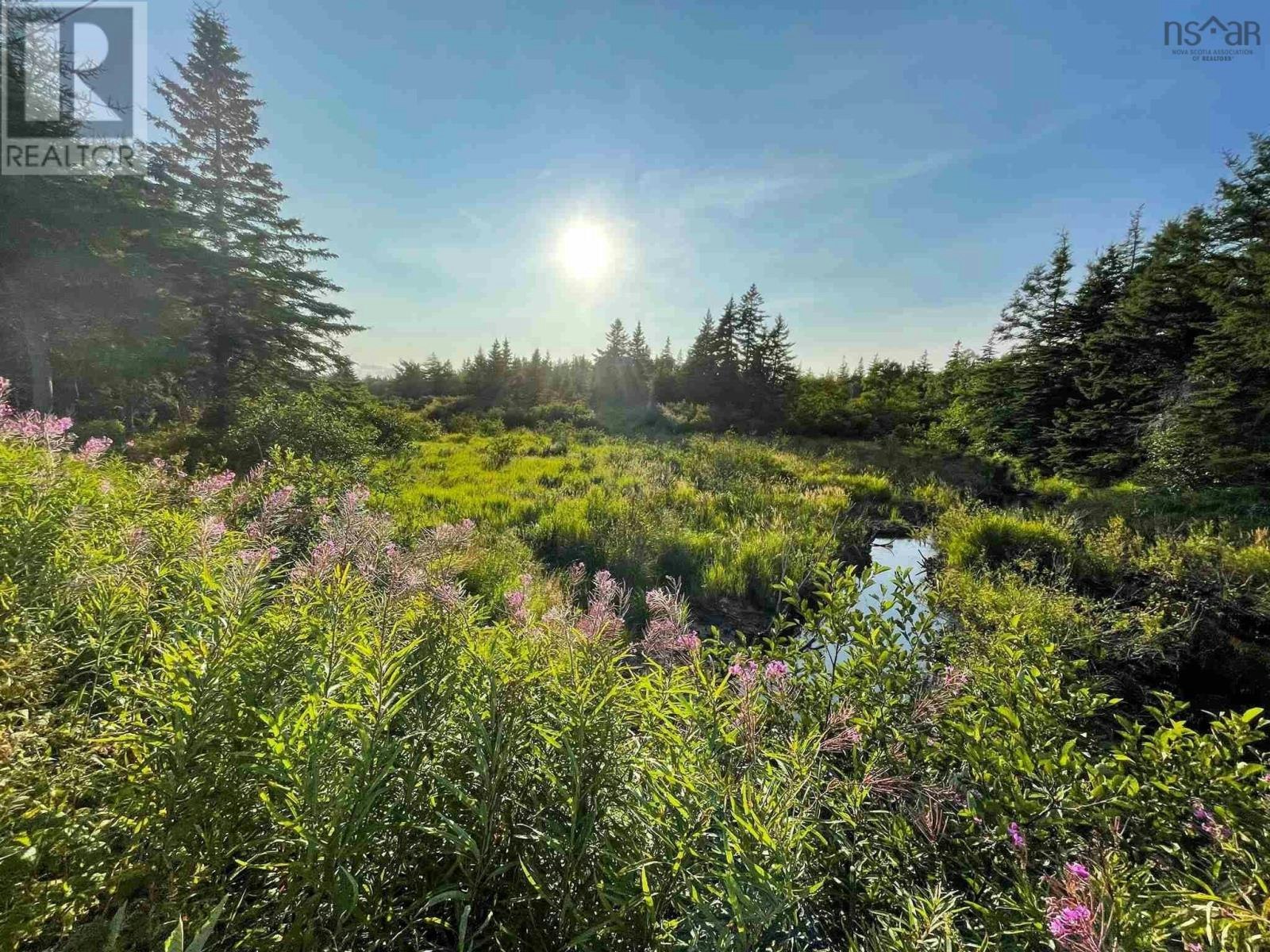 Number-6 Mines Road, Port Morien, NS, B1B 1E7