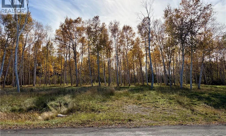 vacant Land Goulette Point Road
