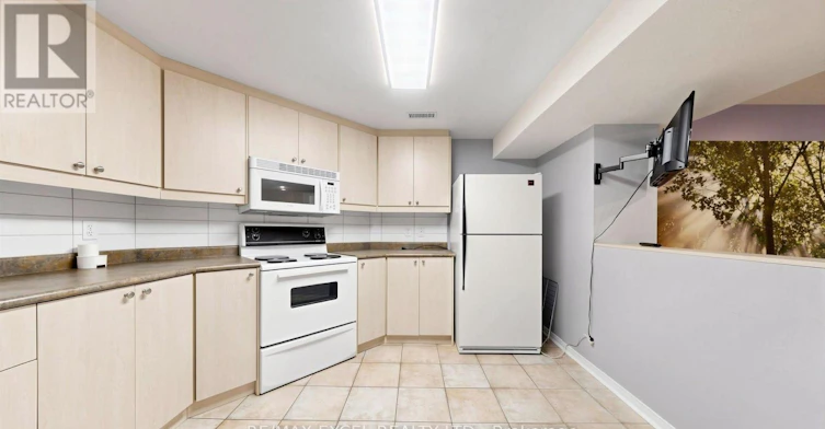 BASEMENT-44 Salt Creek Avenue, Richmond Hill, ON, L4S 1P7 - 9