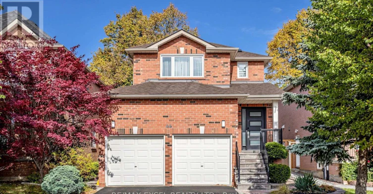 BASEMENT-44 Salt Creek Avenue, Richmond Hill, ON, L4S 1P7