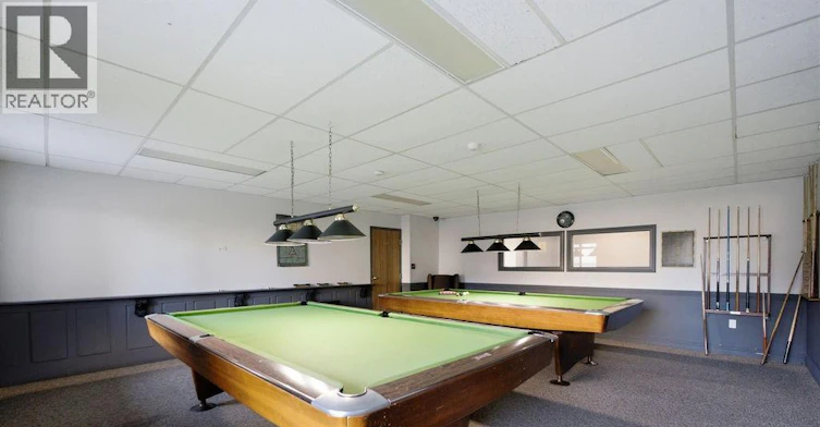 2602-150 Park Street, Windsor, ON, N9A 7A2 - 29