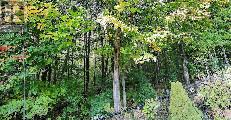 5 Hilliard Court, Caledon, ON, L7C 1R3 - 33