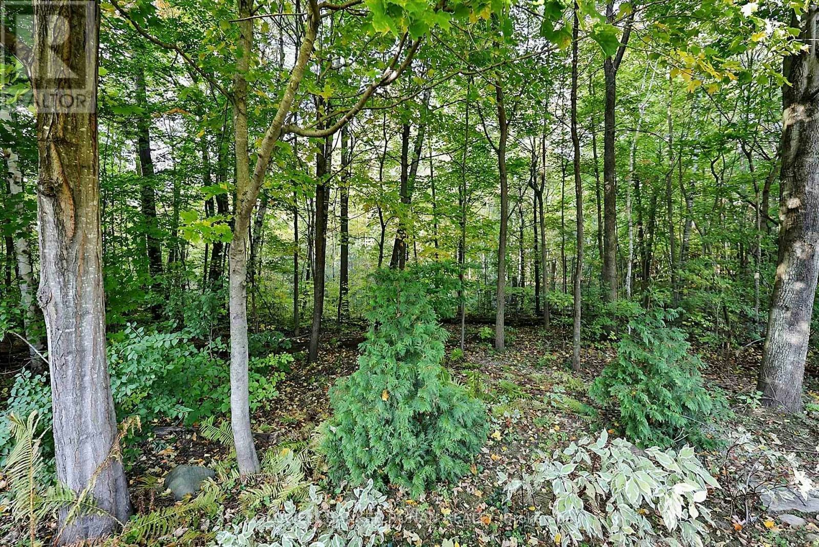 5 Hilliard Court, Caledon, ON, L7C 1R3 - 35