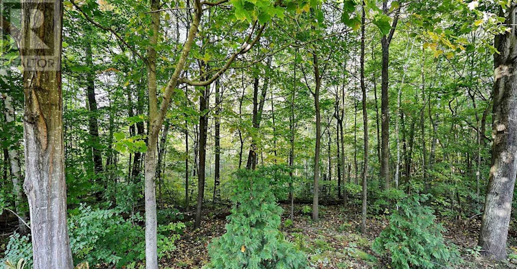 5 Hilliard Court, Caledon, ON, L7C 1R3 - 35