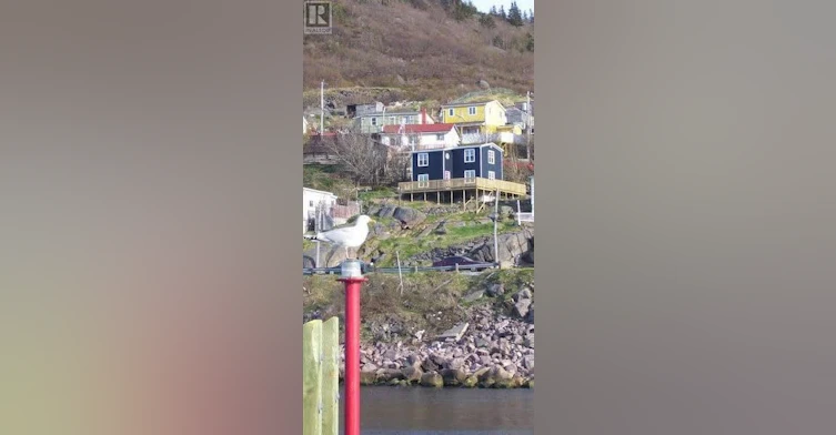 9 Big Hill Road, Petty Harbour-Maddox Cove, NL, A0A 3H0 - 30