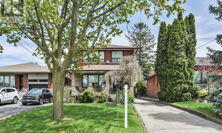 81 Macleod Street