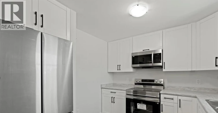 LOWER 2-1850 Meighen, Windsor, ON, N8W 0B6 - 4